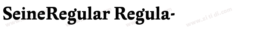 SeineRegular Regula字体转换